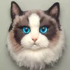Handmade DIY Needle Felted Ragdoll Cat Kit for Beginners
