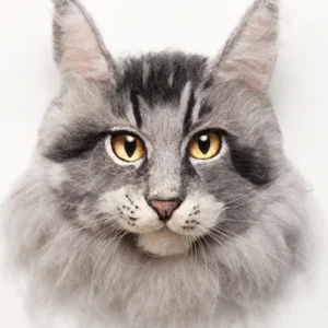 Custom Realistic Maine Coon Needle Felted Cat Kit