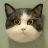Needle Felting Kits Bicolor British Shorthair Cat DIY Craft Set - Premium Wool Felting Starter Kit