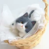 deep-blue-white-large-material-pack
