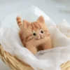 fat-orange-large-material-pack