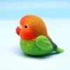 peach-faced-lovebird-material-kit-tools-video