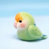 rosy-faced-lovebird-material-kit-tools-video